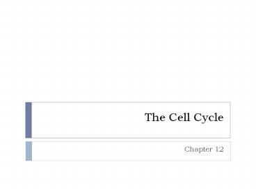 The Cell Cycle