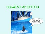 SEGMENT ADDITION
