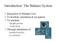 Introduction:%20The%20Balance%20System PowerPoint PPT Presentation