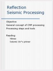 Reflection Seismic Processing