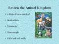 Review the Animal Kingdom PowerPoint PPT Presentation