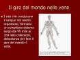 Il giro del mondo nelle vene PowerPoint PPT Presentation