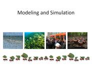Modeling and Simulation