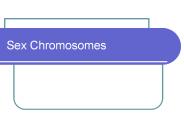 Sex%20Chromosomes
