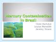 Mercury Contamination in Brazil PowerPoint PPT Presentation