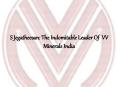 S Jegatheesan: The Indomitable Leader Of VV Minerals India PowerPoint PPT Presentation
