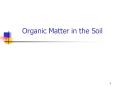 Organic Matter in the Soil PowerPoint PPT Presentation