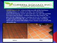 Los Angeles Upholstery Cleaning - Green Squad Inc