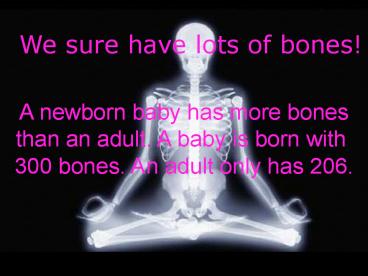 facts on bones