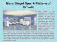 Marc Siegel Spa: A Pattern of Growth PowerPoint PPT Presentation