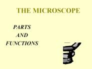 THE MICROSCOPE