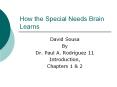 How the Special Needs Brain Learns PowerPoint PPT Presentation