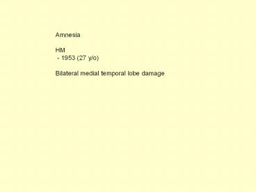Amnesia