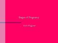 Stages of Pregnancy PowerPoint PPT Presentation