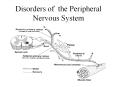Disorders of the Peripheral Nervous System PowerPoint PPT Presentation