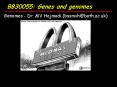BB30055: Genes and genomes PowerPoint PPT Presentation