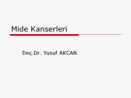Mide Kanserleri