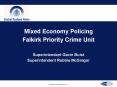 Mixed Economy Policing PowerPoint PPT Presentation