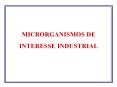 MICRORGANISMOS DE INTERESSE INDUSTRIAL PowerPoint PPT Presentation