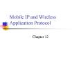 Mobile IP and Wireless Application Protocol PowerPoint PPT Presentation