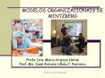 MODELOS ORGANIZACIONAIS DE MINTZBERG PowerPoint PPT Presentation