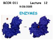 BCOR 011 Lecture 12  9/28/2005