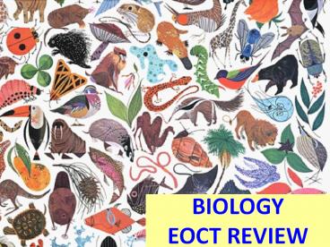 BIOLOGY EOCT REVIEW