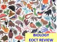 BIOLOGY EOCT REVIEW PowerPoint PPT Presentation