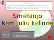 Smalsiojo kamuolio kelione