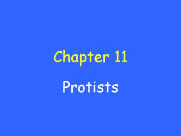Protists