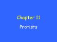 Protists PowerPoint PPT Presentation