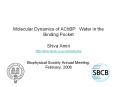 Molecular Dynamics of AChBP: Water in the Binding Pocket PowerPoint PPT Presentation