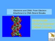 DNA Backbone Radicals: ESR Characterization