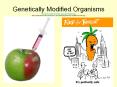 Genetically Modified Organisms http://www.masternewmedia.org/images/modded.jpg http://repairstemcell.files.wordpress.com/2009/03/genetically-modified-food-fda.jpg PowerPoint PPT Presentation