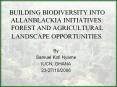 BUILDING BIODIVERSITY INTO ALLANBLACKIA INITIATIVES: FOREST AND AGRICULTURAL LANDSCAPE OPPORTUNITIES. PowerPoint PPT Presentation