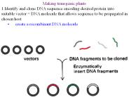 Bio 226: Cell and Molecular Biology