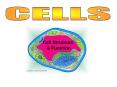CELLS PowerPoint PPT Presentation