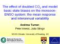 The effect of doubled CO2 and model basic state biases on the monsoon-ENSO system: the mean response and interannual variability PowerPoint PPT Presentation