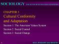 CHAPTER 3 Cultural Conformity and Adaptation PowerPoint PPT Presentation