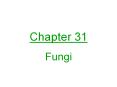 Fungi PowerPoint PPT Presentation