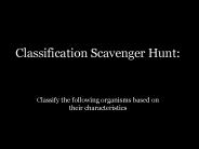 Classify the following organisms based on their characteristics