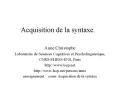 Acquisition de la syntaxe. PowerPoint PPT Presentation