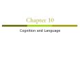 Cognition and Language PowerPoint PPT Presentation