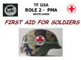 TF GSA ROLE 2 - PMA WHITE HORSE PowerPoint PPT Presentation