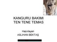 KANGURU BAKIMI TEN TENE TEMAS