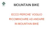 MOUNTAIN BIKE