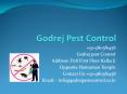 Termite treatment Faridabad-20% off on best deals