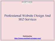 Professional Website Design And SEO Services