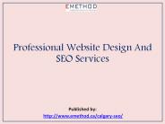 Professional Website Design And SEO Services (2)