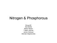 Nitrogen